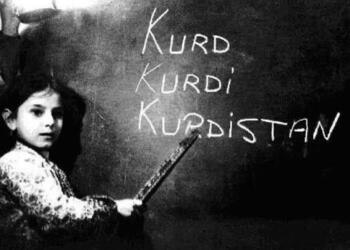 Mahmûd Pala: Kurdiya resen winda dibe