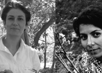 Rêxistinên Mafê Mirovan: Demildest cezayê darvekirinê rakin