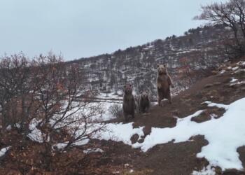 Fotografê Keyeyê Heşan o rindek