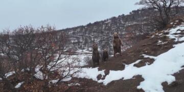 Fotografê Keyeyê Heşan o rindek
