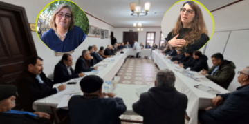 ‘Zayendîya pîrîyî çîn a, wa dayîk û bawkal pîya bixebitê’