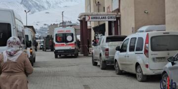 Bi çeka cerdevanan zarokek mir