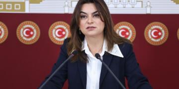 Koçyîgît: Divê ji bo azadiya Ocalan gav bên avêtin