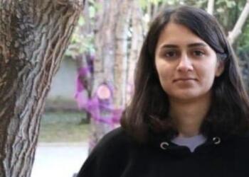 Endama Meclisa Ciwanan a DEM Partiyê hate berdan