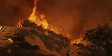 Şewata li Los Angeles didome: Hejmara miriyan gihişt 24 kesan