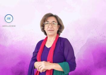 Ayşe Gokkan: Divê hemû saziyên sivîl ji bo aştiya civakî bibin seferber
