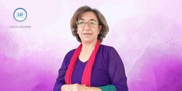 Ayşe Gokkan: Divê hemû saziyên sivîl ji bo aştiya civakî bibin seferber