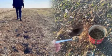 Amed de îstîlaya merreyî destpê kerd