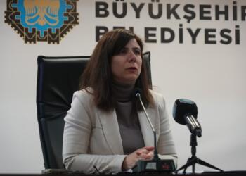 Serra Bucak: Cezadayîşê Zeydanî komploya vera şarê Wanî ya