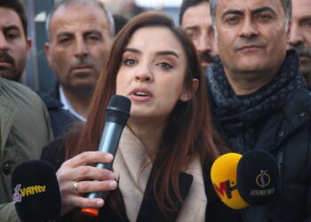 Aktîvîsta TJAyê Rojbîn Bor hat binçavkirin