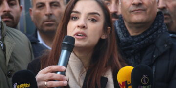 Aktîvîsta TJAyê Rojbîn Bor hat binçavkirin