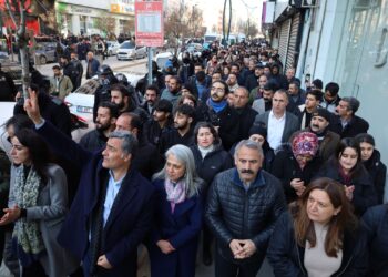 Li dijî qeyûm meşek girseyî hat lidarxistin