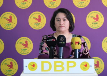 Meclîsê Cinîyan ê DBP’yî do 11 şaristanan de atolyeyan organîze bikero