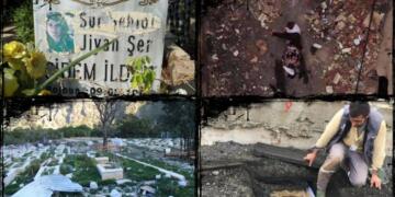 Di 10 salan de 147 hezar gor hatine rûxandin