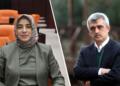 Zengîn a AKPî ji bo vasî li Gergerlîoglû bê tayînkirin serî li dadgehê da
