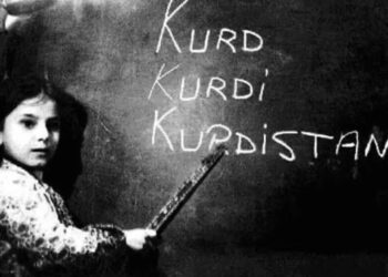 Roja Ziwanê Dayîke ya Mîyanêneteweyî