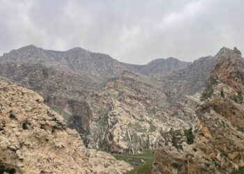Şirnex de 11 herêmî ameyê qedexekerdene