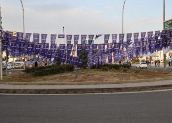 Amed bi alên pirzimanî û xumrî hat xemilandin