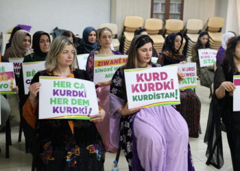 Li dijî bişaftinê Meclisa Jinan a Zimanê Kurdî hat ragihandin