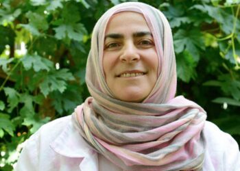 ‘Seba ke proses aver şêro, ganî kanalê sîyaseto demokratîk bêrê akerdene’