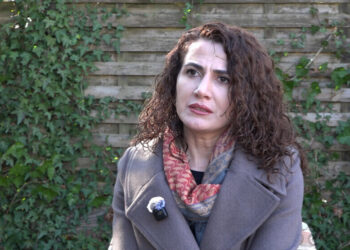 Sumeyye Boz: Ma do seba komelkîkerdişê haştîye waran de bê