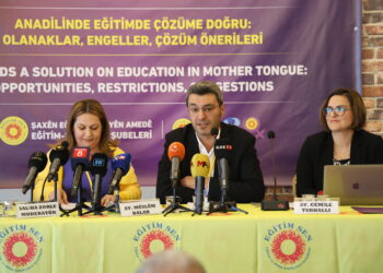 Egîtîm Sen: Em ê balê bikişînin ser perwerdehiya bi zimanê dayikê