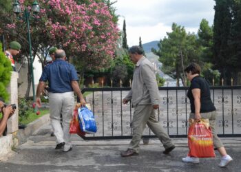 Malbat ji bo biçin Îmraliyê serlêdan kirin