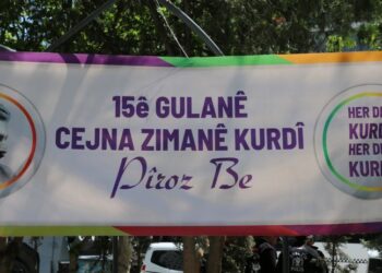 Hemsereka KURDÎGEH’î: Statuyê ziwan û perwerdeyî semedê ma esas o