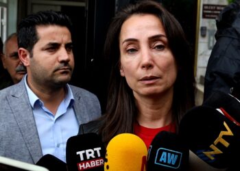 Tulay Hatîmogûllari: Divê gavên şênber bên avêtin