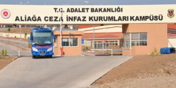 30 salên xwe tije kir lê dîsa nehat berdan