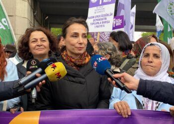 Hatîmogullari: Do kedkarî meseleyê kurdî çareser bikê