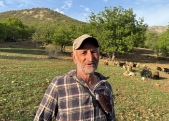 ‘Naye ra di reyî yo ke 38 yeno, ma qir keno’