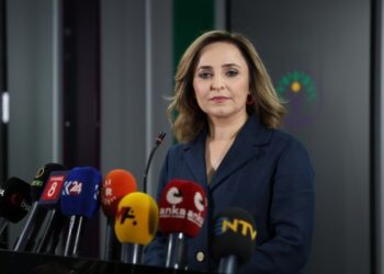 Ayşegul Dogan: Ma amadekarîyan kenê ke şêrê Îmrali
