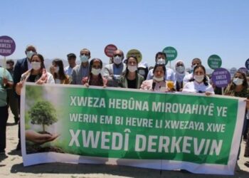 Têkiliya awankerdişê cuyêka birûmet û ekolojîk