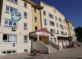 Qezayêka bênêweşxane û bêdoktore: Elkê