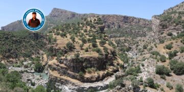 Çemê Hêzil ziwa dibe