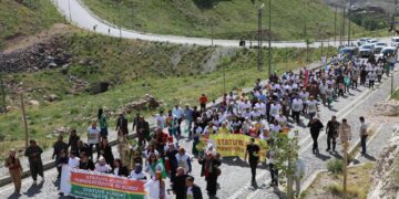 Ji Kurdî re statu