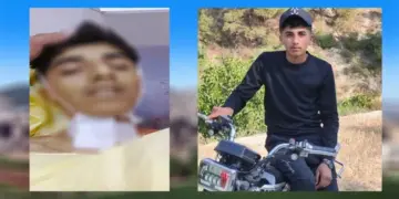 Ciwanek li Efrînê kuştin