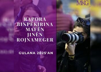 MKG: Aşma gulane de 9 rojnamegerê cinî tepişte bîyî