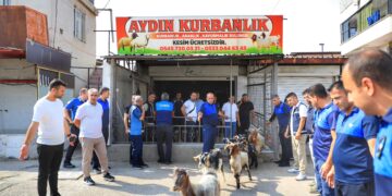 Zabiteyan 6 kargeh ji ber “Nexweşiya Şapê” mohr kir