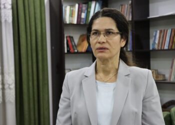 Îlham Ehmed: Di mijara entegrasyonê de pirsgirêkên cîddî hene