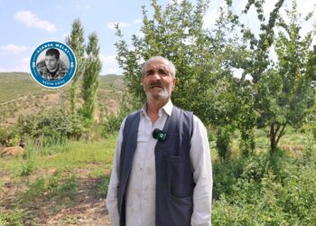 Dima ke agêrayê dewe, problemê înan ê aborîyî nêmendê