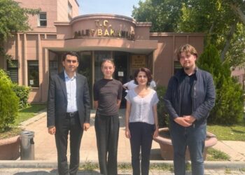Ciwanê Ewropayîjî seba vînayîşê Abdullah Ocalanî muracat kerd