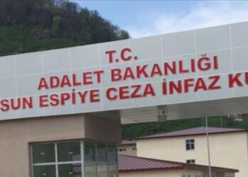 Ramazan Çakmak bi girseyî hat pêşwazîkirin