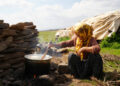 Koçerî mîyanê meseleyanê ziwatî û krîzê ekonomîkî de yê