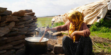 Koçerî mîyanê meseleyanê ziwatî û krîzê ekonomîkî de yê