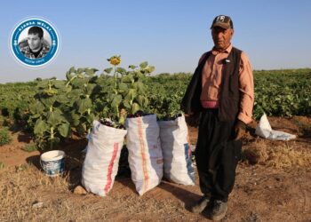 Keda çandiniyê pere nake