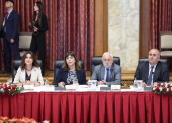 Koçyîgît: Ma dî ke sîyaseto demokratîk çend muhîm o