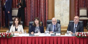 Koçyîgît: Ma dî ke sîyaseto demokratîk çend muhîm o