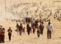 KCDK-E: Ganî statuyê Şengalî bêro sinasnayîş